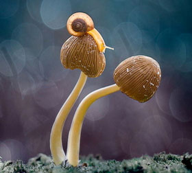 手机号测压平台